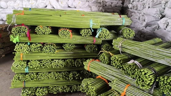 Customized Size Painted Bamboo Poles