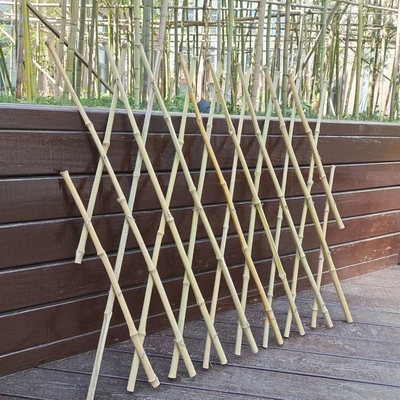 Expandable Bamboo Poles Flexible Trellis Garden Fencing For Balcony Decoration 120*180cm