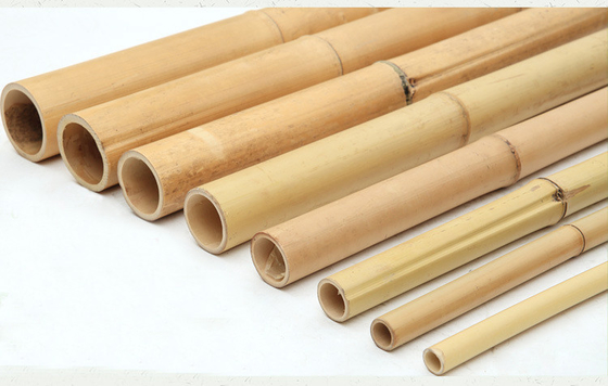 Eco Friendly Natural Bamboo Stakes Poles Cannes 16cm Dia With Different Size