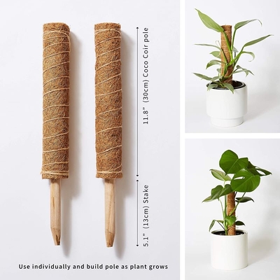Moss Pole Plant Support Climbing Coconut Poles Palm Stick Colored Plant