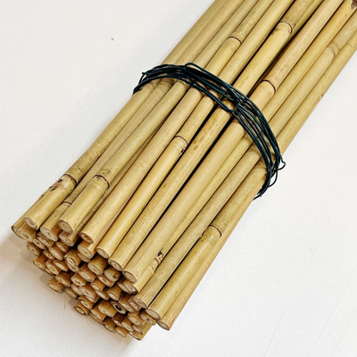 Customized Natural Bamboo Raw Material Bamboo Stakes 40cm 60cm 90cm Length 6mm Diameter