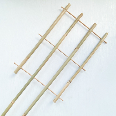 100% Raw Material Bamboo Stakes 6m U Shape Hoops Handcrafted Trellis Support Flower