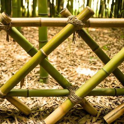 Eco Friendly Natural Bamboo Stakes Poles Cannes 16cm Dia With Different Size