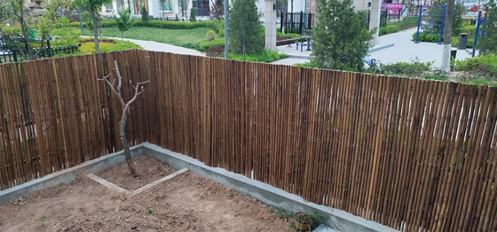 Natural Bamboo Material Painted Bamboo Fence Panels Rolled Bamboo Fence Privacy Garden Border