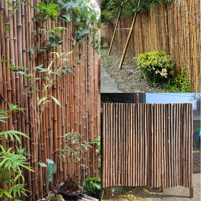 Natural Bamboo Material Painted Bamboo Fence Panels Rolled Bamboo Fence Privacy Garden Border