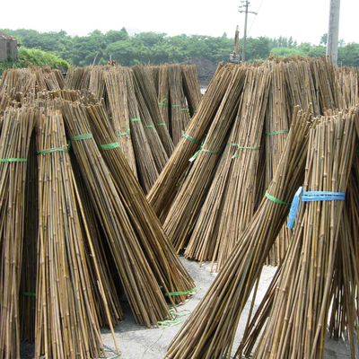 Garden Fence Home Decoration Raw Bamboo Poles Tonkin Solid Bamboo Poles