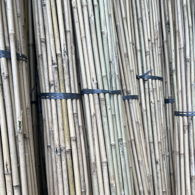 Garden Fence Home Decoration Raw Bamboo Poles Tonkin Solid Bamboo Poles
