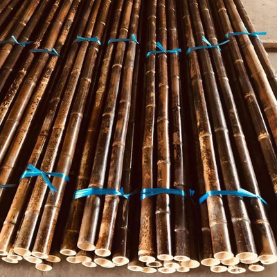 150cm Raw Bamboo Poles Painting Green Red Black Decorative Bamboo Garden Stakes