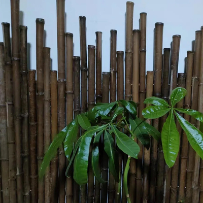 150cm Raw Bamboo Poles Painting Green Red Black Decorative Bamboo Garden Stakes