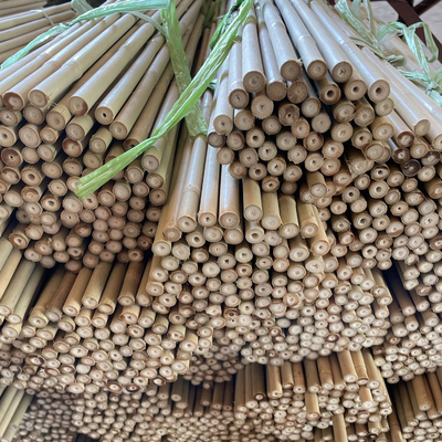 Colorful Raw Bamboo Canes Bamboo Poles For Garden Agriculture