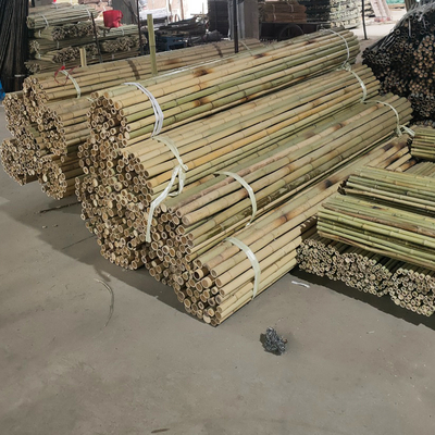 Colorful Raw Bamboo Canes Bamboo Poles For Garden Agriculture