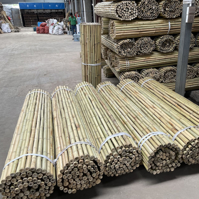Colorful Raw Bamboo Canes Bamboo Poles For Garden Agriculture