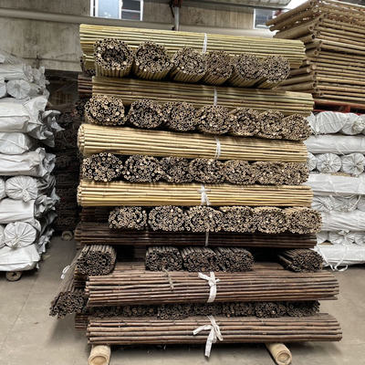 Colorful Raw Bamboo Canes Bamboo Poles For Garden Agriculture