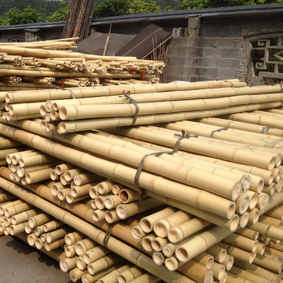 100 % Natural Strong Durable Moso Bamboo Pole Customize Length