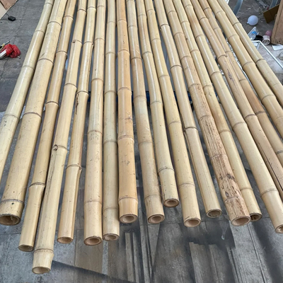 Natural 10 Foot Moso Bamboo Pole For Building Garden Construction