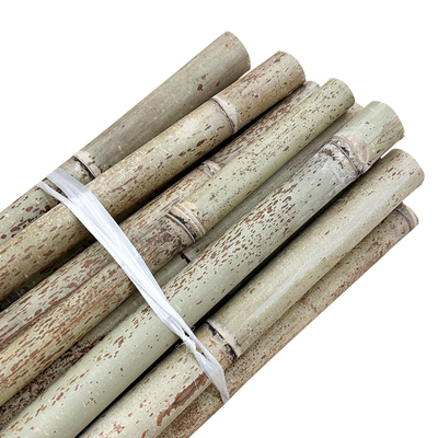 Nature Raw Bamboo Straight Bamboo Poles For Garden Farm Plant Support Building