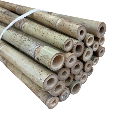 Nature Raw Bamboo Straight Bamboo Poles For Garden Farm Plant Support Building