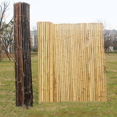 Smoked Decorative Bamboo Fence Screen Fencing For Nursery Garden Green House