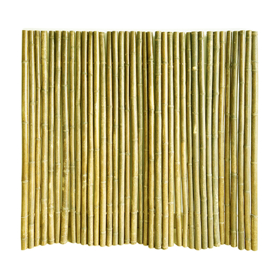 Natural Tonkin Bamboo Pole Bamboo Privacy Fence For Garden 240 CM High