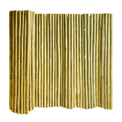 Natural Tonkin Bamboo Pole Bamboo Privacy Fence For Garden 240 CM High