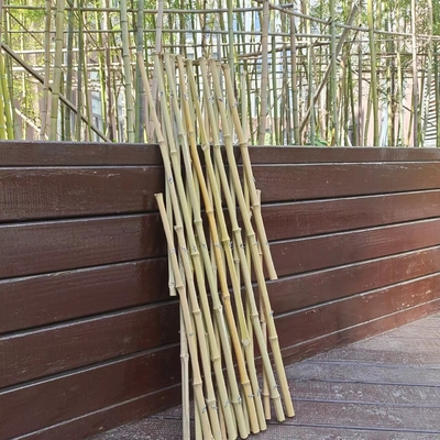Expandable Bamboo Poles Flexible Trellis Garden Fencing For Balcony Decoration 120*180cm