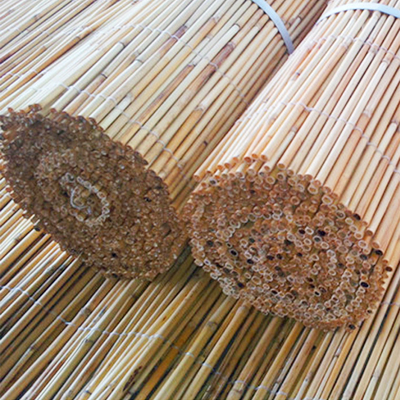 Natural Wicker Fence Panels Roller Light Weight Willow Fence For Yards Privacy