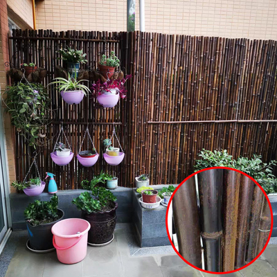 Black Natural Decorative Bamboo Fence 4Ft 6Ft 8Ft For Garden Privacy Home Garden