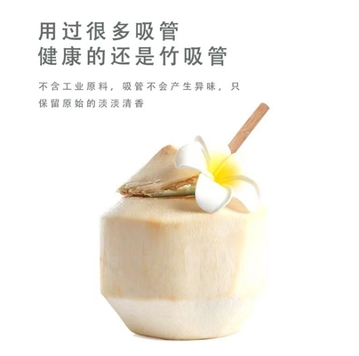 Reusable Eco Friendly 20x0.8cm Reusable Bamboo Drinking Straws With Brush