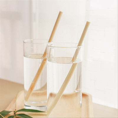 Reusable Eco Friendly 20x0.8cm Reusable Bamboo Drinking Straws With Brush