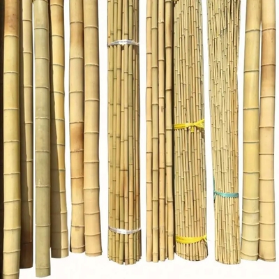 Bamboo Town Nature Yellow Black Dry Treated Bamboo Moss Pole