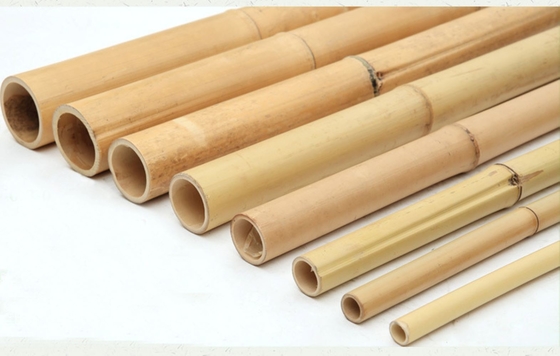 100% Natural Bamboo Pole Customize Length Eco-Friendly Plant Support Garden Stakes Strong Durable Lightweight