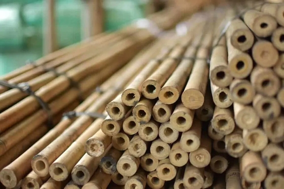 Natural Garden Bamboo Sticks For Indoor And Outdoor Plants , Plant Support Stakes For Tomatoes , Beans , Potted Plants