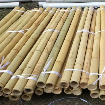 Bamboo Flower Sticks Garden Stakes For Plant Support Farm Garden Decoration