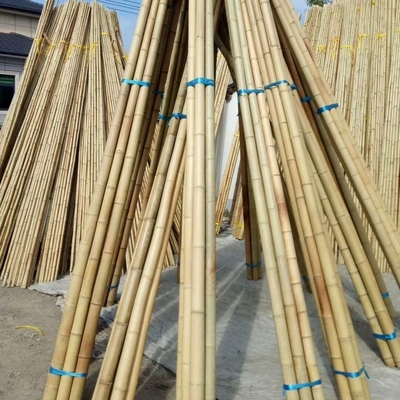 Wholesale Nature Raw Tonkin Yellow Bamboo Pole Cane Material For Decorative And Plants Grow Support