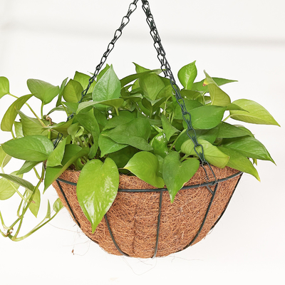 Coconut Coir Hanging Planters Outdoor Metal Wire Baskets With Coco Liner Hanging Pots For Plants Indoor