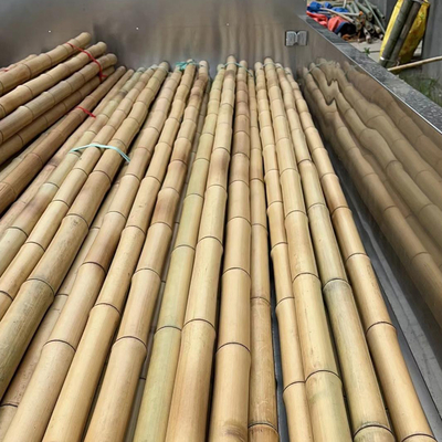 Wholesale Price Natural Moss Plant Pole Moss Stick For Climbing Plants Moss Poles Support