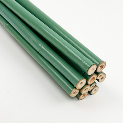 Custom Green PVC Coated Bamboo Treated Flower Support Tonkin Bamboo Plastic Tube Pole