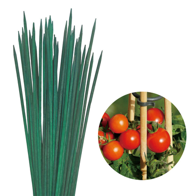 Nature Bamboo Flower Sticks For Garden Arrangement Dyeing Bamboo Stick Flower Support
