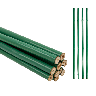 Custom Green PVC Coated Bamboo Treated Flower Support Tonkin Bamboo Plastic Tube Pole