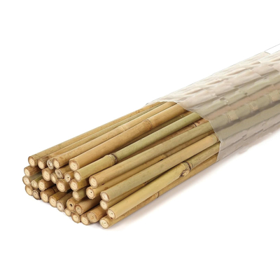 Eco-Friendly Bamboo Poles Toamto Beans Potted Plants for Indoor and Outdoor Plants