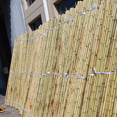 Eco-Friendly Bamboo Poles Toamto Beans Potted Plants for Indoor and Outdoor Plants