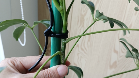 Flexible Green Hollow Line To Support Plant Tie Up Bags For Home Office
