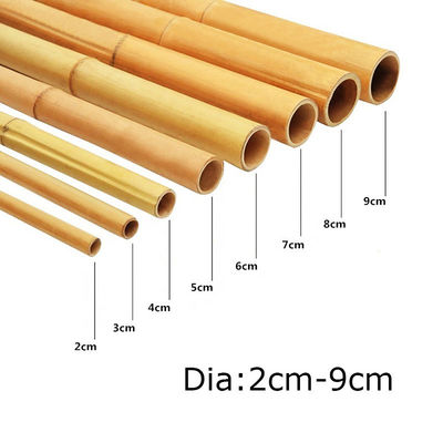 Natural Bamboo Pole 45cm-600cm for Garden Plant Support