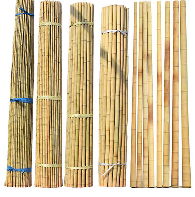 Natural Bamboo Pole 45cm-600cm for Garden Plant Support