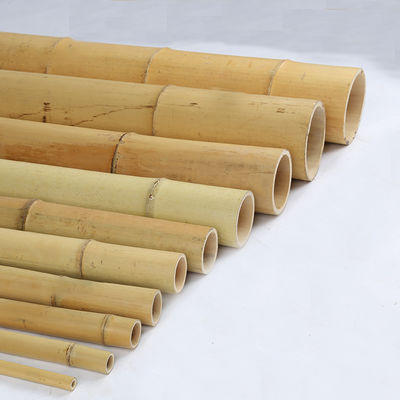Strengthen Garden with Premium Natural Bamboo Plant Support Stakes