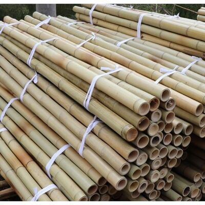 Natural Treated Moso Bamboo Pole 3 Meters Long 6-8cm Diameter for DIY Construction Fencing Gardening and Decorative Projects