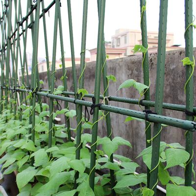 Plastic Coated Metal Stakes, Green Garden Stakes for Plant Support, Plant Climbing, Landscape, Fencing