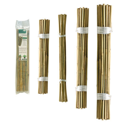 Garden Stakes, 18 Inches Natural Bamboo Plant Stakes, Plant Support Stakes with Twist Ties, Bamboo Sticks for Tomatoes, Beans, Flowers, Potted Plants, Indoor and Outdoor Climbing Plants