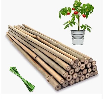 Garden Stakes, 18 Inches Natural Bamboo Plant Stakes, Plant Support Stakes with Twist Ties, Bamboo Sticks for Tomatoes, Beans, Flowers, Potted Plants, Indoor and Outdoor Climbing Plants