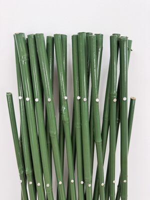 Enhance Your Garden Privacy with Natural Plastic Coated Expanding Bamboo Pole Fence Rolls